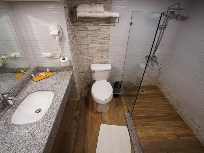 Guest bathroom with walk-in shower
